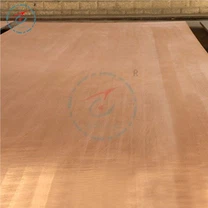 Titanium beklædt kobberplade